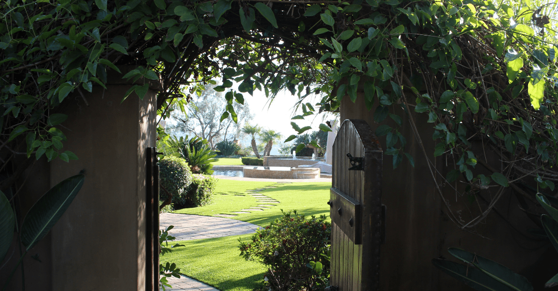 Backyard with artificial turf