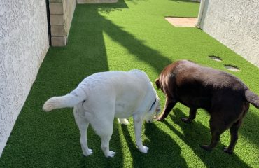 Artificial Turf Projects