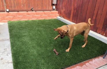 Artificial Turf Projects