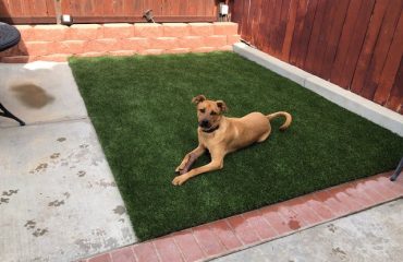 Artificial Turf Projects