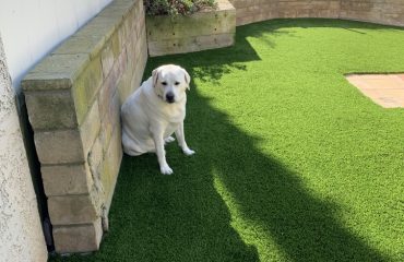 Artificial Turf Projects