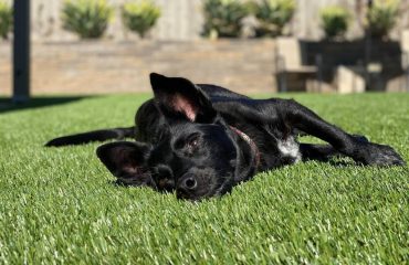 Artificial Turf Projects