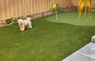 Artificial Turf Projects