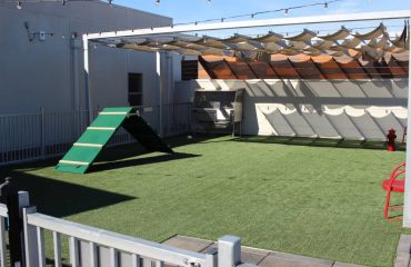 Artificial Turf Projects