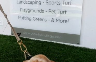 Artificial Turf Projects