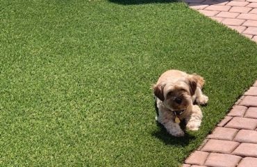 Artificial Turf Projects