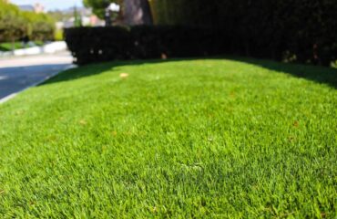 Artificial Turf Projects