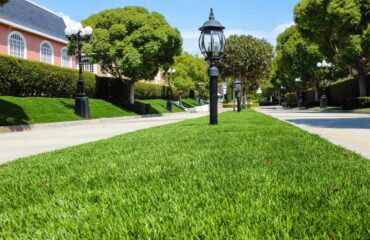 Artificial Turf Projects