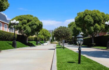 Artificial Turf Projects