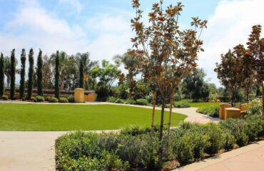 Artificial Turf Projects