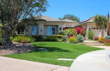 Artificial Turf Projects