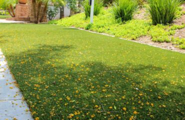 Artificial Turf Projects