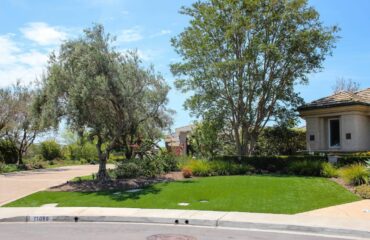 Artificial Turf Projects