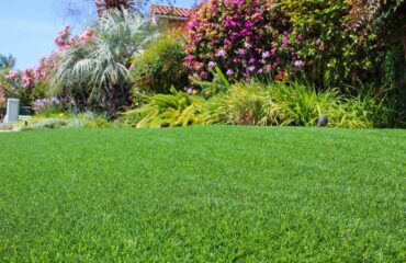 Artificial Turf Projects