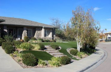 Artificial Turf Projects