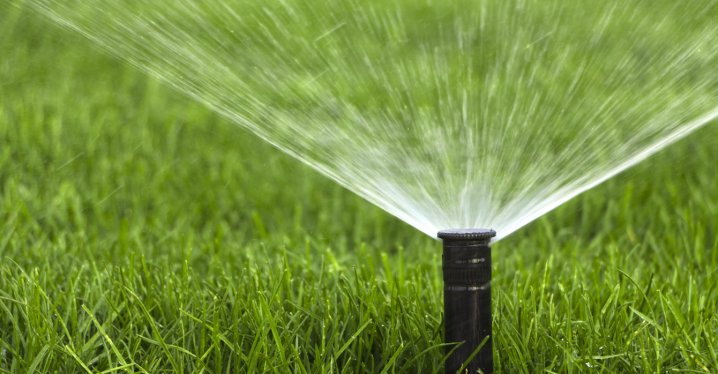 Sprinkler watering grass